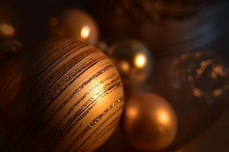 Seasonal Maintenance: What to Do and When