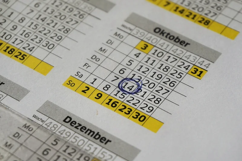 Your Year One Plan: A Realistic Roadmap