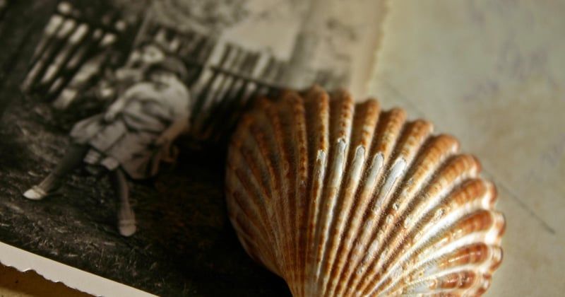 Simple Steps to Digitize Your Family Photo Collection