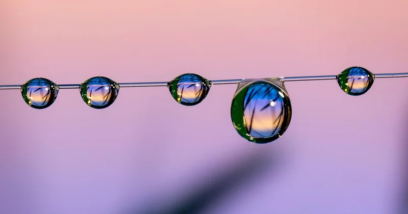 Light, sound, and the invisible factors